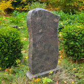 Tirich Mir